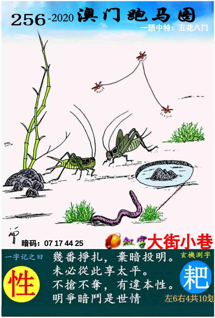 第256期澳门六合资料点击查看